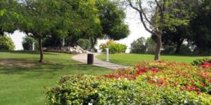 Dubai Creek Park