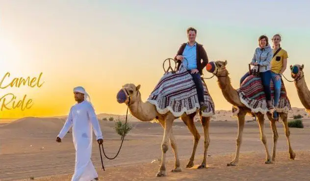 Morning desert safari with camel-ride