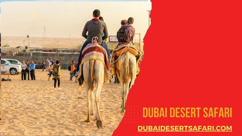 Dubai desert Safari by DDS