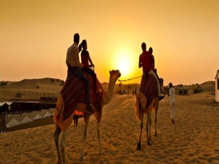 Camel Safari Desert Dubai