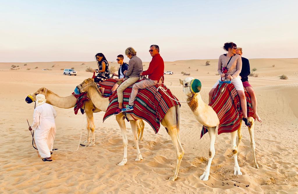 morning desert safari Dubai experience 2024