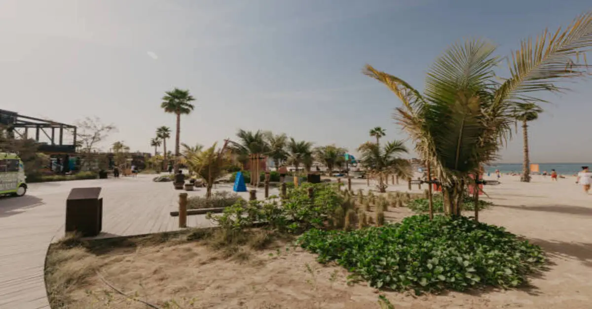 Mercato Beach