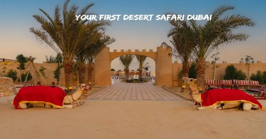 Your First Desert Safari Dubai experience