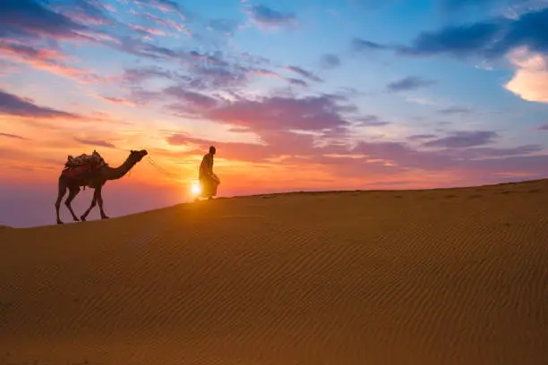 morning desert safari