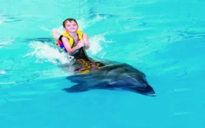 Dubai Dolphinarium