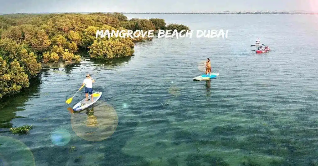 Mangrove Beach Dubai