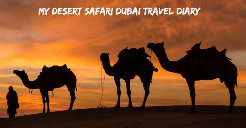 My Desert Safari Dubai Travel Diary
