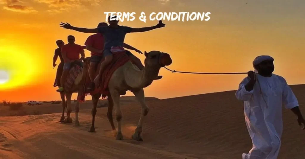 terms & conditions