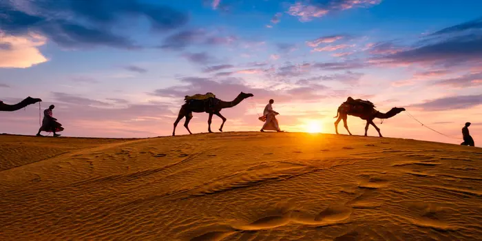Desert safari Dubai adventure guide featuring dune bashing and camel ride