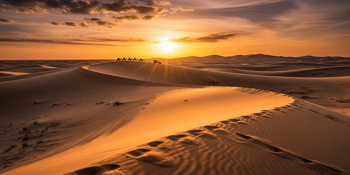 Best desert safari Dubai sunset view