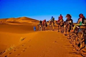 Desert Safari Dubai Tour Planning