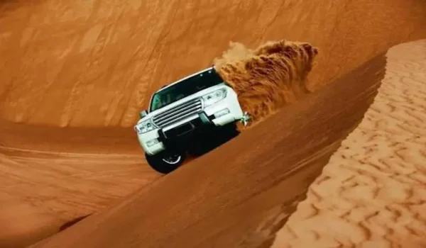 Private desert safari dunne bashing