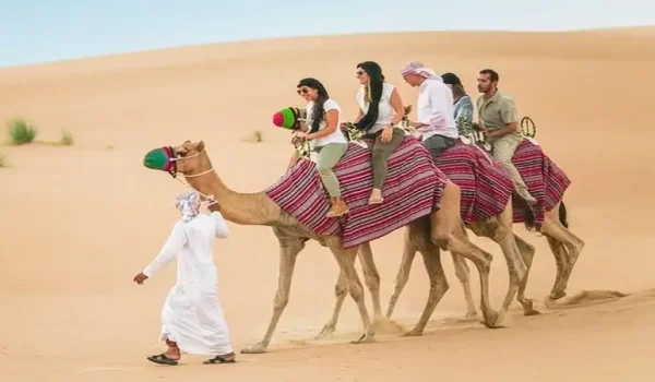 morning desert safari camel ride